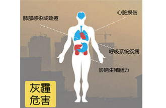 空氣中PM2.5 是由什么物質組成的？